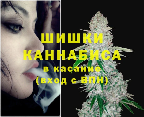 мдпв Михайловск