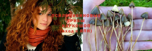 кокаин перу Михайлов
