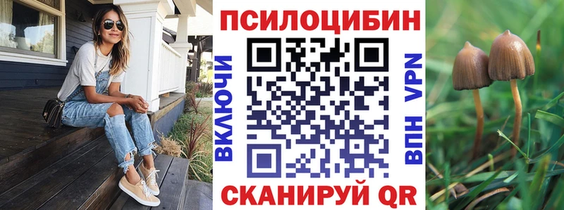 Купить где  Ленинградская  Псилоцибиновые грибы ЛСД 