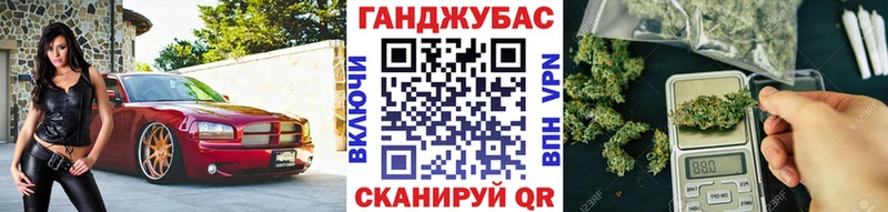 Бошки Шишки планчик Ленинградская