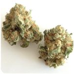 Шишки "White Widow"  (Белая вдова)  Гидропоника -  Бошка VHQ в Ленинградской